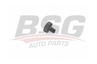 BSG BSG 30-860-027 Вентилятор салона для FORD ESCORT IV (GAF, AWF, ABFT) 1.6