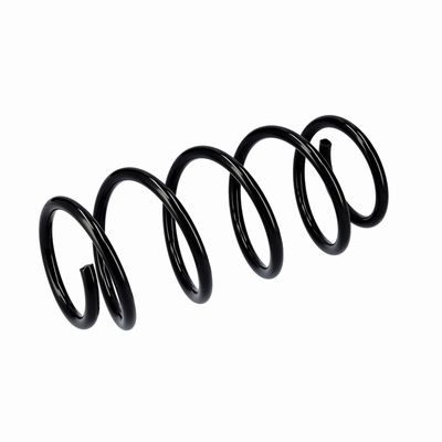 ARC SPIRAL EIBACH R10341 17