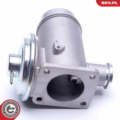 SUPAPA EGR ESEN SKV 14SKV175 4