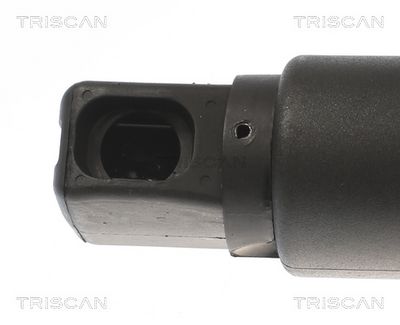Vorschau Gasfeder, Koffer-/Laderaum Ansicht 2
