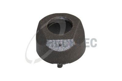 DUZA ULEI UNGERE CAME