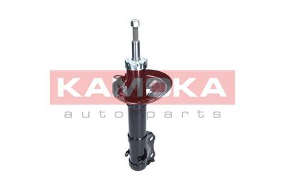 Shock Absorber 2001044