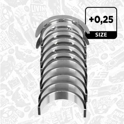 SET RULEMT ARBORE COTIT