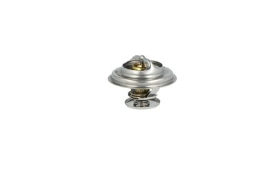 TERMOSTAT LICHID RACIRE NRF 725071 33