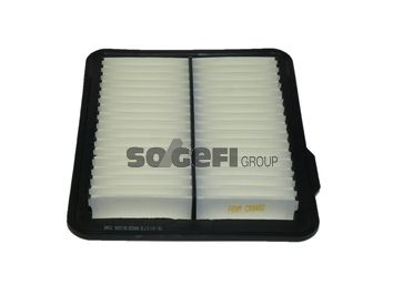 Fram Air Filter CA9492