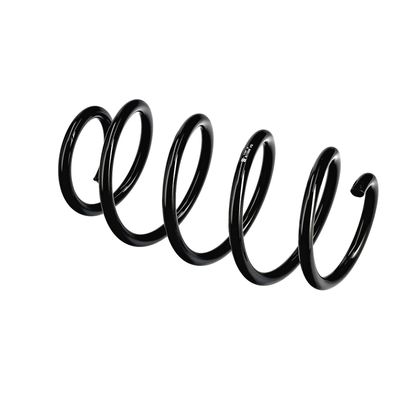 ARC SPIRAL EIBACH R11005 21