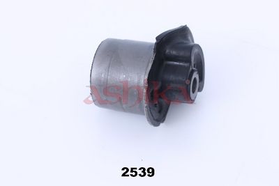 ASHIKA Lagerung, Achskörper