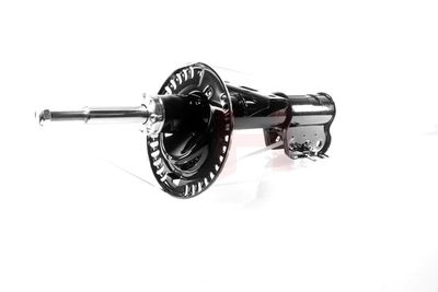 AMORTIZOR GH GH354706 10