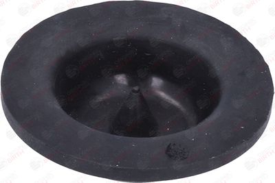 SAIBA ARC BIRTH 53805 11