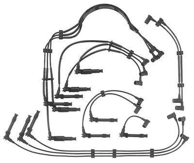BorgWarner (BERU) Uždegimo laido komplektas