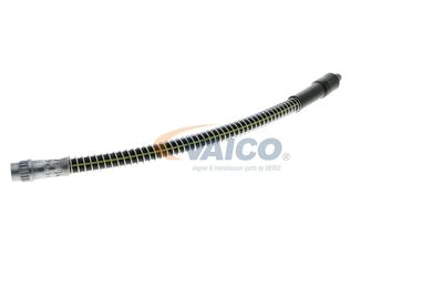 FURTUN FRANA VAICO V464113 30