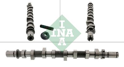 Vačkový hřídel Schaeffler INA 428 0252 10