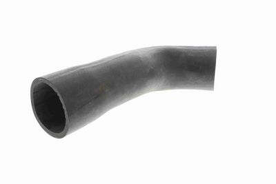 FURTUN EAR SUPRAALIMENTARE VAICO V201624 8