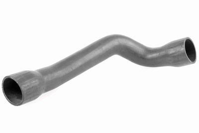 FURTUN EAR SUPRAALIMENTARE