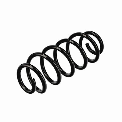 ARC SPIRAL EIBACH R11107 16