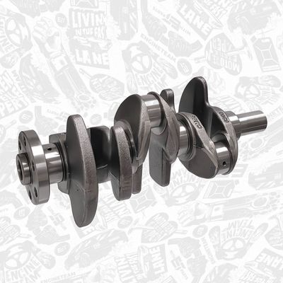 ARBORE COTIT ET ENGINETEAM HK0223 3