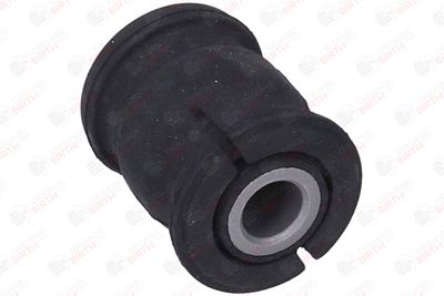 SUPORT TRAPEZ BIRTH 20015 12