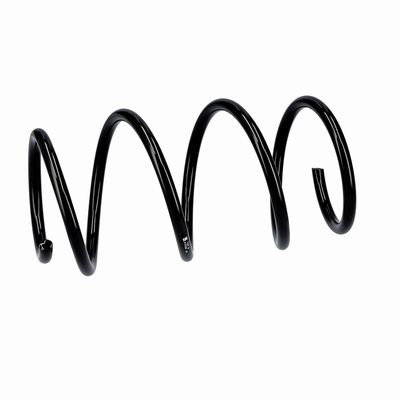 ARC SPIRAL EIBACH R10355 6