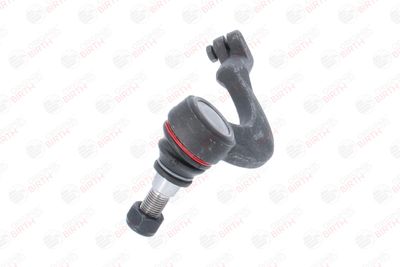 CAP DE BARA BIRTH RD0013 4