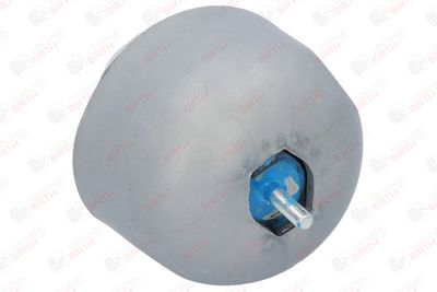 SUPORT MOTOR BIRTH 50524 1