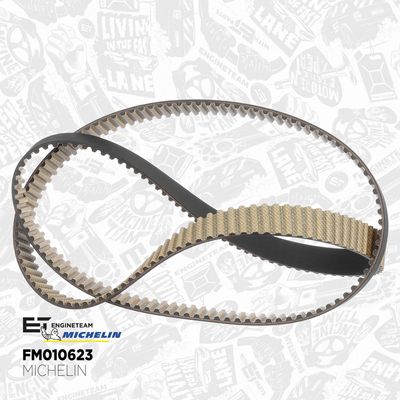 SET CUREA DE DISTRIBUTIE ET ENGINETEAM RM0035 2