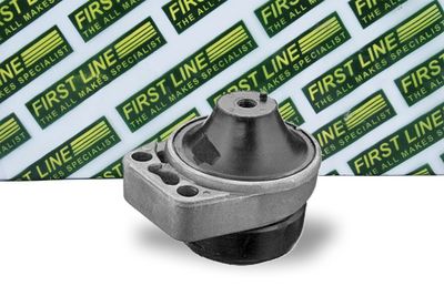 окачване, двигател FIRST LINE FEM4040