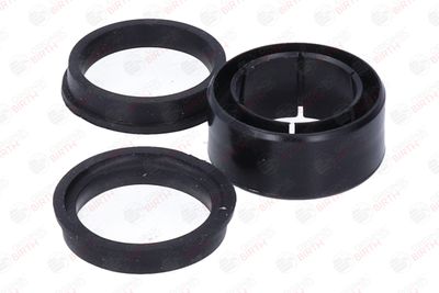 BUCSA ARBORE DE DIRECTIE BIRTH 4321 4