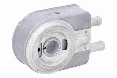 RADIATOR ULEI ULEI MOTOR ACKOJA A52600020 2