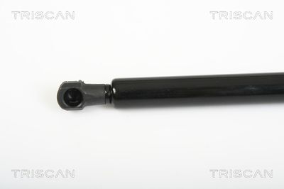 AMORTIZOR LUNETA TRISCAN 871025241 1