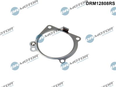 Uszczelka, kolektor dolotowy DR.MOTOR AUTOMOTIVE DRM12808RS
