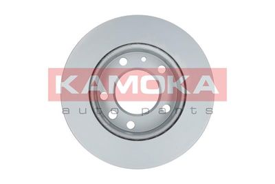 Brake Disc 103306