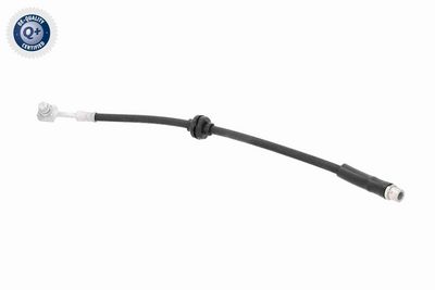 FURTUN FRANA VAICO V402216 2