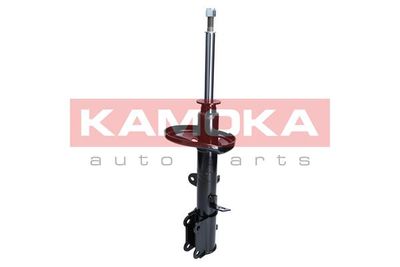 Shock Absorber 2000958