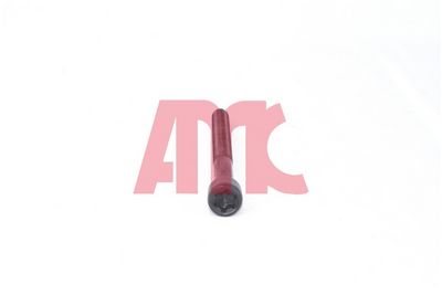 ZYLINDERKOPFSCHRAUBENSATZ