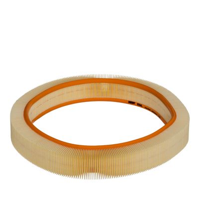 Oro filtras
