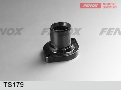термостат, охладителна течност FENOX TS179