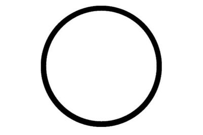 DICHTUNG ANSAUGKRüMMER