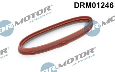 Dr.Motor Automotive Dichtring, Lader