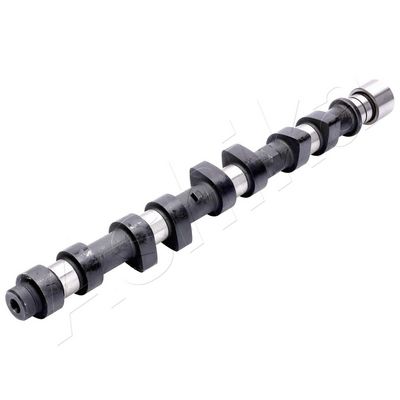 AX CU CAME ASHIKA 16TY010 2