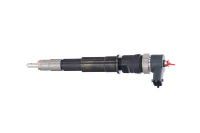 INJECTOR REMANTE 002003001201R 13