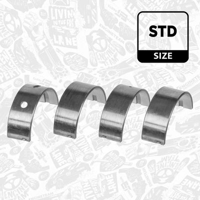 SET RULEMT ARBORE COTIT ET ENGINETEAM LH008100 1