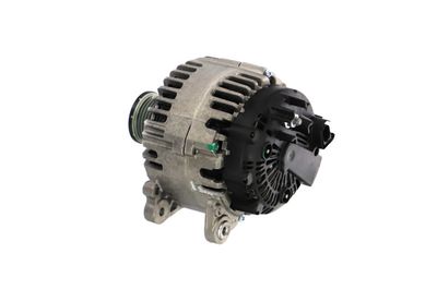 GENERATOR / ALTERNATOR REMANTE 011003000050R 17