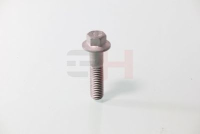 SURUB CAPAT DE AX GH GH392549 57