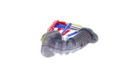 SET REPARATIE SET CABLURI VEMO V10830030 31