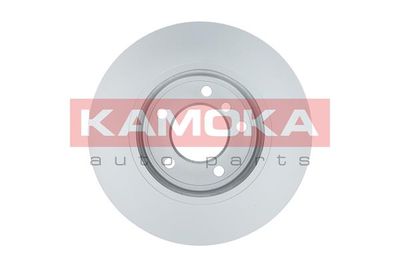 Brake Disc 1032132