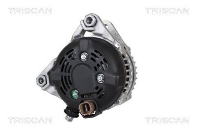 Generator TRISCAN 8310 69013