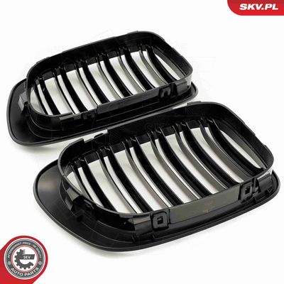 GRILA RADIATOR ESEN SKV 66SKV059 4