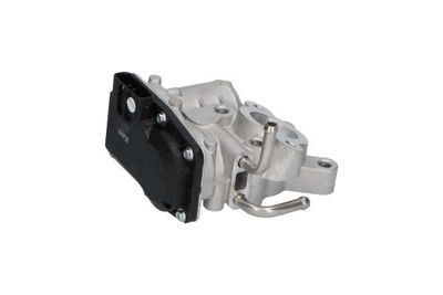 SUPAPA EGR Kavo Parts EEG8003 20