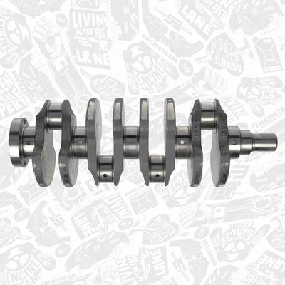 ARBORE COTIT ET ENGINETEAM HK0205 5