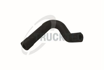 Žarna, karterio alsuoklis